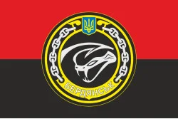 Прапор МБАК «Бердянськ» (P175) ВМС ЗСУ. Варіант-05