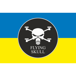 Прапор Роти ударних та розвідувальних БПЛА «FLYING SKULL» 110 ОМБр ЗСУ. Варіант-01