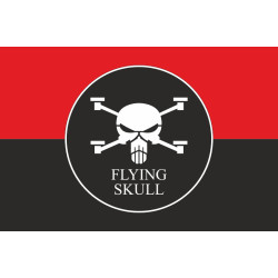 Прапор Роти ударних та розвідувальних БПЛА «FLYING SKULL» 110 ОМБр ЗСУ. Варіант-03