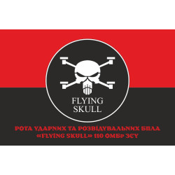 Прапор Роти ударних та розвідувальних БПЛА «FLYING SKULL» 110 ОМБр ЗСУ. Варіант-04