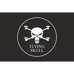 Прапор Роти ударних та розвідувальних БПЛА «FLYING SKULL» 110 ОМБр ЗСУ. Варіант-08 Прапор Роти ударних та розвідувальних БПЛА «FLYING SKULL» 110 ОМБр ЗСУ. Варіант-08