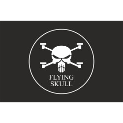 Прапор Роти ударних та розвідувальних БПЛА «FLYING SKULL» 110 ОМБр ЗСУ. Варіант-08