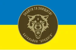 Прапор 431 ОББС (окремий батальйон безпілотних систем) ЗСУ «Бродяги». Варіант-01