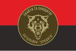 Прапор 431 ОББС (окремий батальйон безпілотних систем) ЗСУ «Бродяги». Варіант-03 Прапор 431 ОББС (окремий батальйон безпілотних систем) ЗСУ «Бродяги». Варіант-03