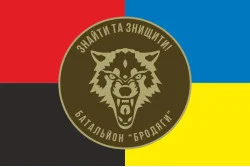 Прапор 431 ОББС (окремий батальйон безпілотних систем) ЗСУ «Бродяги». Варіант-05 Прапор 431 ОББС (окремий батальйон безпілотних систем) ЗСУ «Бродяги». Варіант-05