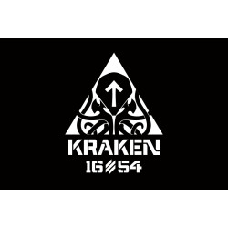 Флаг 21 ОПБпС (отдельный полк беспилотных систем) «KRAKEN 1654» ВСУ. Вариант-02