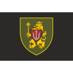 Прапор 11 АК (армійський корпус) ЗСУ. Варіант-14 Прапор 11 АК (армійський корпус) ЗСУ. Варіант-14