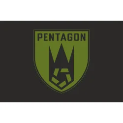 Флаг Роты ударных БПЛА «Pentagon» 225 ОШБ ВСУ. Вариант-06 Флаг Роты ударных БПЛА «Pentagon» 225 ОШБ ВСУ. Вариант-06
