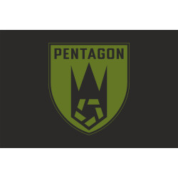 Флаг Роты ударных БПЛА «Pentagon» 225 ОШБ ВСУ. Вариант-06