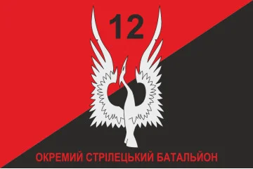 Флаг 12 ОСБ (отдельный стрелковый батальон) ВСУ. Вариант-08