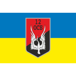 Флаг 12 ОСБ (отдельный стрелковый батальон) ВСУ. Вариант-09