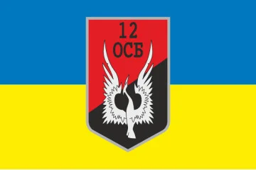 Флаг 12 ОСБ (отдельный стрелковый батальон) ВСУ. Вариант-09
