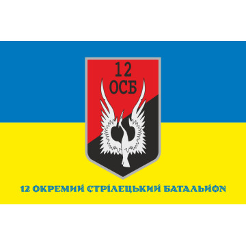 Флаг 12 ОСБ (отдельный стрелковый батальон) ВСУ. Вариант-10 Флаг 12 ОСБ (отдельный стрелковый батальон) ВСУ. Вариант-10