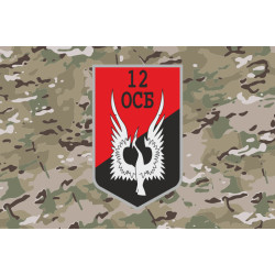 Флаг 12 ОСБ (отдельный стрелковый батальон) ВСУ. Вариант-14