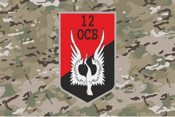 Флаг 12 ОСБ (отдельный стрелковый батальон) ВСУ. Вариант-14