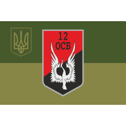 Флаг 12 ОСБ (отдельный стрелковый батальон) ВСУ. Вариант-15
