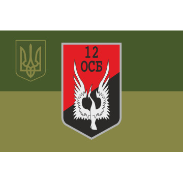 Флаг 12 ОСБ (отдельный стрелковый батальон) ВСУ. Вариант-15