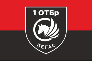 Прапор РУБпАК «Пегас» 106 ОБрТрО ЗСУ. Варіант-02