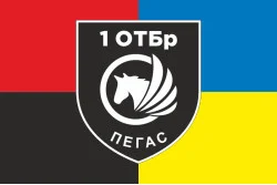 Прапор РУБпАК «Пегас» 106 ОБрТрО ЗСУ. Варіант-03 Прапор РУБпАК «Пегас» 106 ОБрТрО ЗСУ. Варіант-03