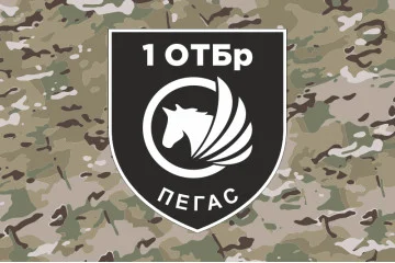 Прапор РУБпАК «Пегас» 106 ОБрТрО ЗСУ. Варіант-04