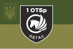Прапор РУБпАК «Пегас» 106 ОБрТрО ЗСУ. Варіант-05
