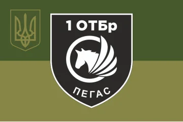 Прапор РУБпАК «Пегас» 106 ОБрТрО ЗСУ. Варіант-05