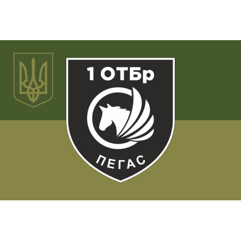 Флаг РУБпАК «Пегас» 106 ОБрТрО ВСУ. Вариант-05