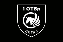 Прапор РУБпАК «Пегас» 106 ОБрТрО ЗСУ. Варіант-06