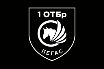 Прапор РУБпАК «Пегас» 106 ОБрТрО ЗСУ. Варіант-06