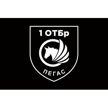 Прапор РУБпАК «Пегас» 106 ОБрТрО ЗСУ. Варіант-06 Прапор РУБпАК «Пегас» 106 ОБрТрО ЗСУ. Варіант-06
