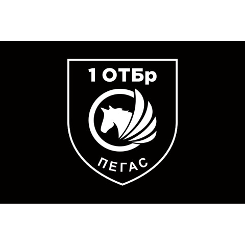 Флаг РУБпАК «Пегас» 106 ОБрТрО ВСУ. Вариант-06