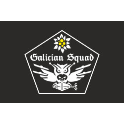 Прапор Роти ударних БПЛА «GALICIAN SQUAD» 1 СБ 10 ОГШБр ЗСУ. Варіант-06 Прапор Роти ударних БПЛА «GALICIAN SQUAD» 1 СБ 10 ОГШБр ЗСУ. Варіант-06