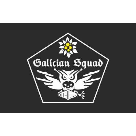 Прапор Роти ударних БПЛА «GALICIAN SQUAD» 1 СБ 10 ОГШБр ЗСУ. Варіант-06 Прапор Роти ударних БПЛА «GALICIAN SQUAD» 1 СБ 10 ОГШБр ЗСУ. Варіант-06