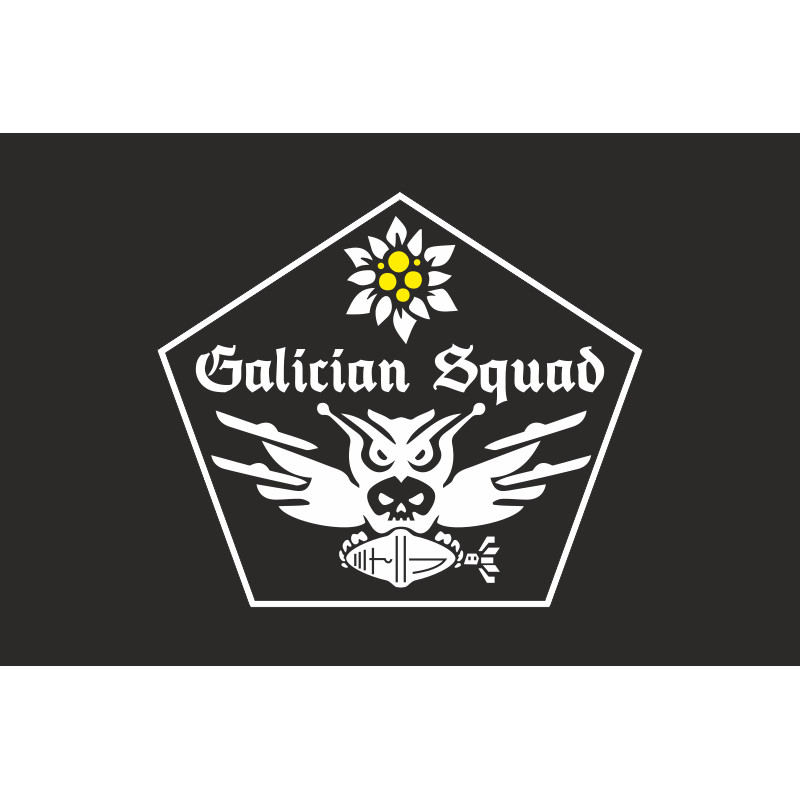 Прапор Роти ударних БПЛА «GALICIAN SQUAD» 1 СБ 10 ОГШБр ЗСУ. Варіант-06 Прапор Роти ударних БПЛА «GALICIAN SQUAD» 1 СБ 10 ОГШБр ЗСУ. Варіант-06