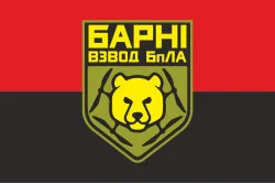 Флаг Взвода ударных БПЛА «Барни» МПБ 10 ОГШБр ВСУ. Вариант-02 Флаг Взвода ударных БПЛА «Барни» МПБ 10 ОГШБр ВСУ. Вариант-02