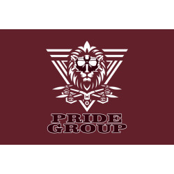 Флаг Подразделения ударных БПЛА «Pride group» 2 ДШБ 80 ОДШБр ВСУ. Вариант-01