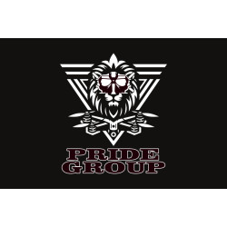 Флаг Подразделения ударных БПЛА «Pride group» 2 ДШБ 80 ОДШБр ВСУ. Вариант-02