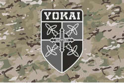 Флаг Подразделения БПЛА «Yokai» 2 БМП 35 ОБрМП ВМС ВСУ. Вариант-07 Флаг Подразделения БПЛА «Yokai» 2 БМП 35 ОБрМП ВМС ВСУ. Вариант-07