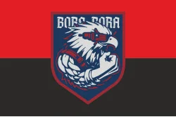 Прапор РУБпАК «Bora Bora» 2 ПДБ 25 ОПДБр ЗСУ. Варіант-02