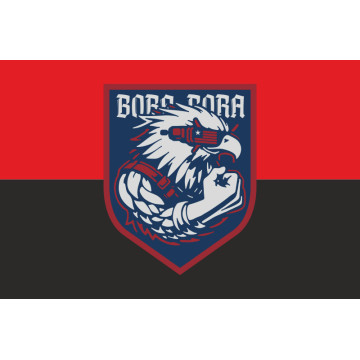 Прапор РУБпАК «Bora Bora» 2 ПДБ 25 ОПДБр ЗСУ. Варіант-02
