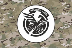 Прапор ББпС «Небесна лють» 2 МЕХБАТ 67 ОМБр ЗСУ. Варіант-04