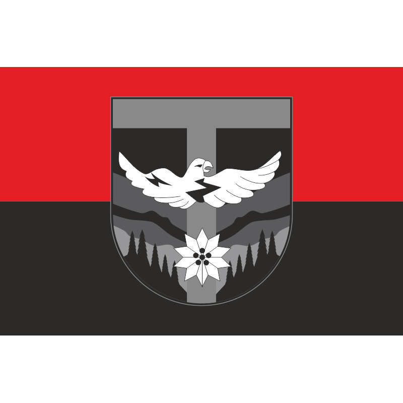 Флаг ББпС «Sons of Khors» 128 ОГШБр ВСУ. Вариант-02 Флаг ББпС «Sons of Khors» 128 ОГШБр ВСУ. Вариант-02