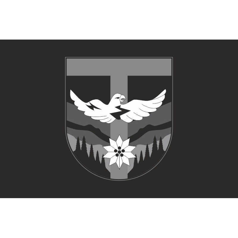 Флаг ББпС «Sons of Khors» 128 ОГШБр ВСУ. Вариант-06 Флаг ББпС «Sons of Khors» 128 ОГШБр ВСУ. Вариант-06