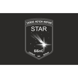 Флаг ББпС «Star» 22 ОМБр ВСУ. Вариант-06