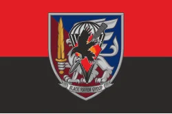 Прапор РУБпАК «Black Raven Group» 81 ОАеМБр ЗСУ. Варіант-02 Прапор РУБпАК «Black Raven Group» 81 ОАеМБр ЗСУ. Варіант-02
