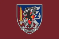 Прапор РУБпАК «Black Raven Group» 81 ОАеМБр ЗСУ. Варіант-03 Прапор РУБпАК «Black Raven Group» 81 ОАеМБр ЗСУ. Варіант-03