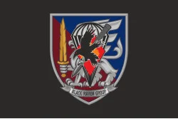 Прапор РУБпАК «Black Raven Group» 81 ОАеМБр ЗСУ. Варіант-07 Прапор РУБпАК «Black Raven Group» 81 ОАеМБр ЗСУ. Варіант-07