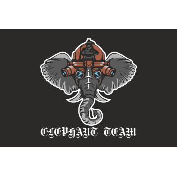Прапор Підрозділу наземної та повітряної розвідки «ELEPHANT TEAM» ДПСУ. Варіант-01