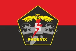 Флаг Подразделения ударных БПЛА «Phoenix» 5 ОШБр ВСУ. Вариант-02 Флаг Подразделения ударных БПЛА «Phoenix» 5 ОШБр ВСУ. Вариант-02