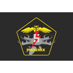 Флаг Подразделения ударных БПЛА «Phoenix» 5 ОШБр ВСУ. Вариант-06 Флаг Подразделения ударных БПЛА «Phoenix» 5 ОШБр ВСУ. Вариант-06